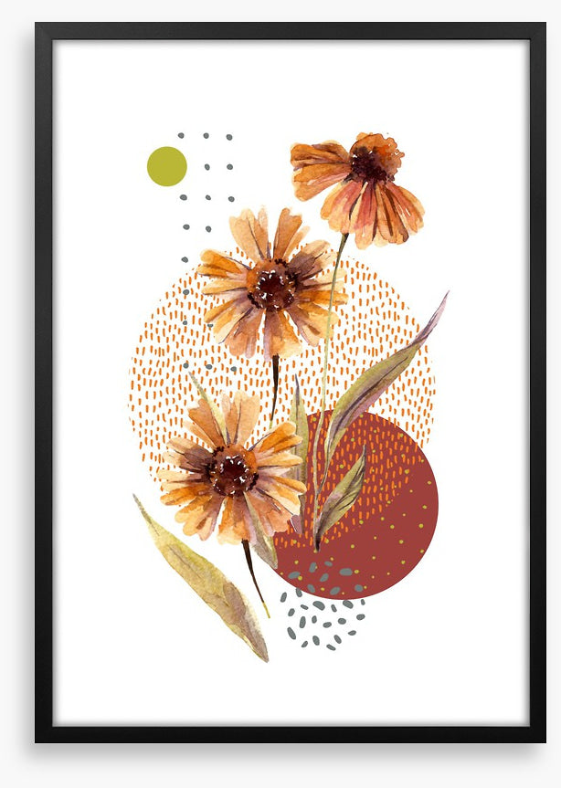Aster autumn