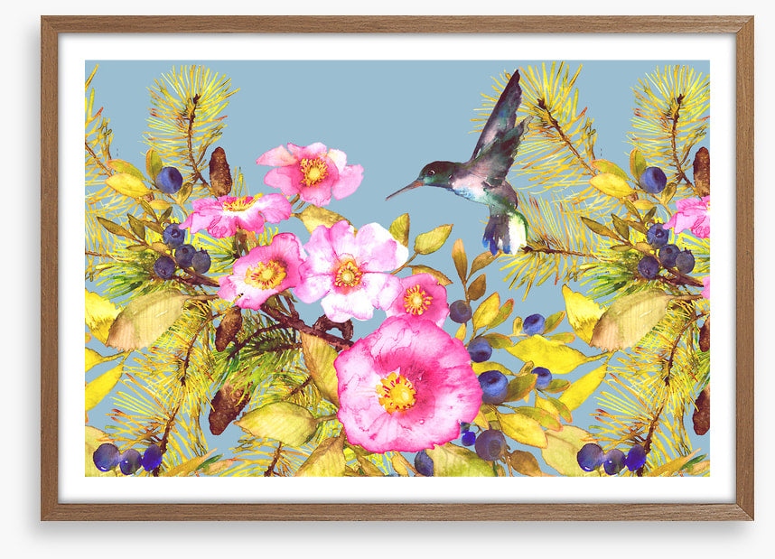 Wild rose hummingbird