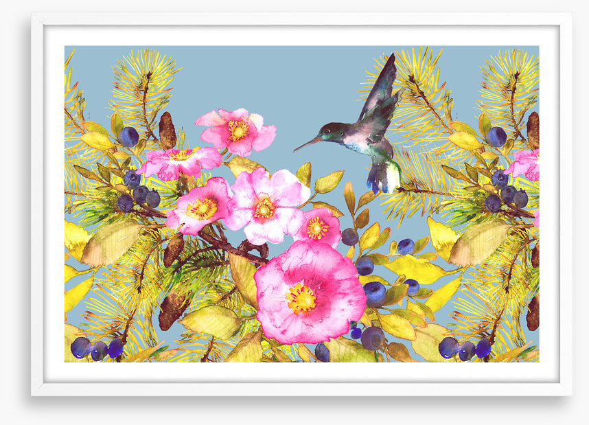 Wild rose hummingbird