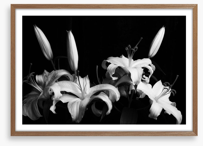 Three late lilies