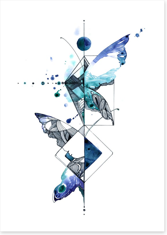 Wings of wonder