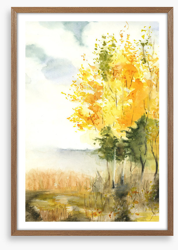 Golden birch leaves