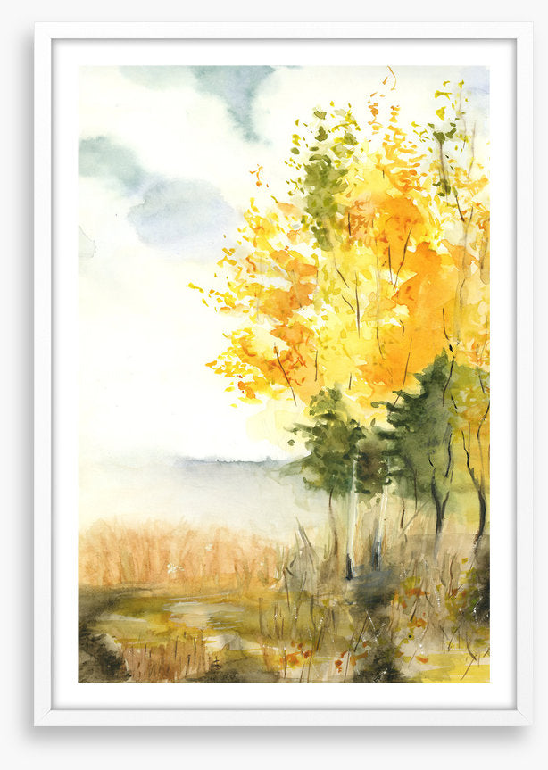 Golden birch leaves