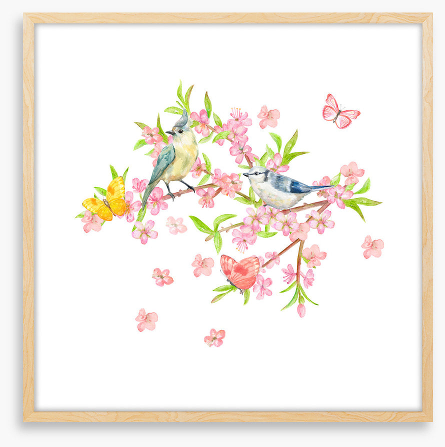 Spring