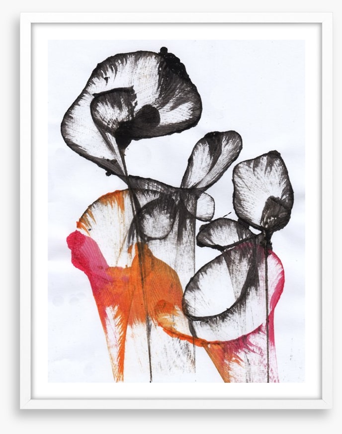 Nocturnal bloom
