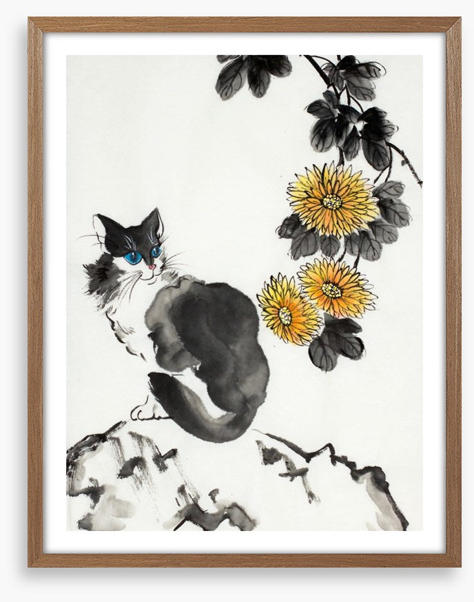 The chrysanthemum cat