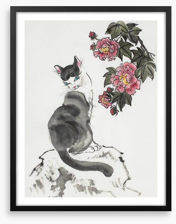 The hibiscus cat
