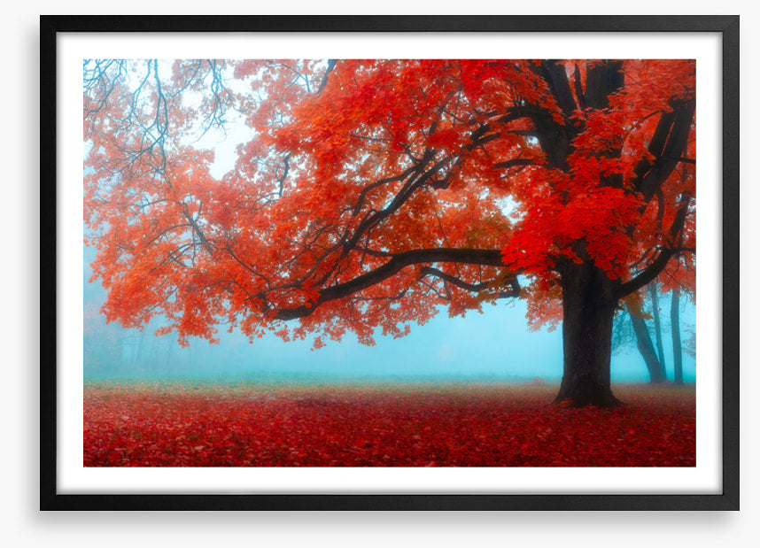 Maple tree mist