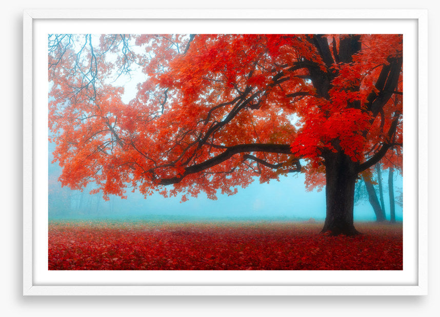 Maple tree mist