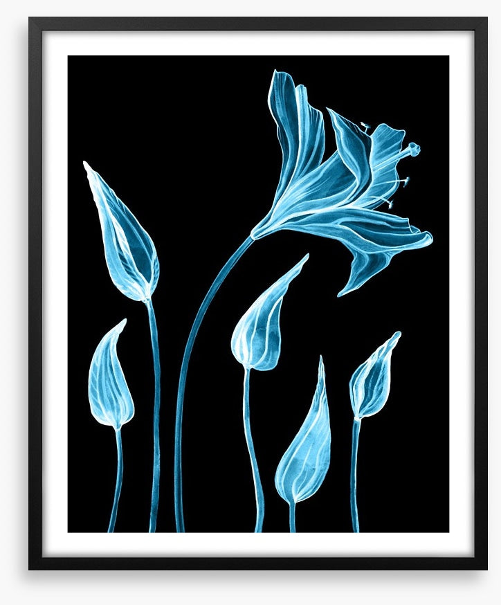 Luminous lilies