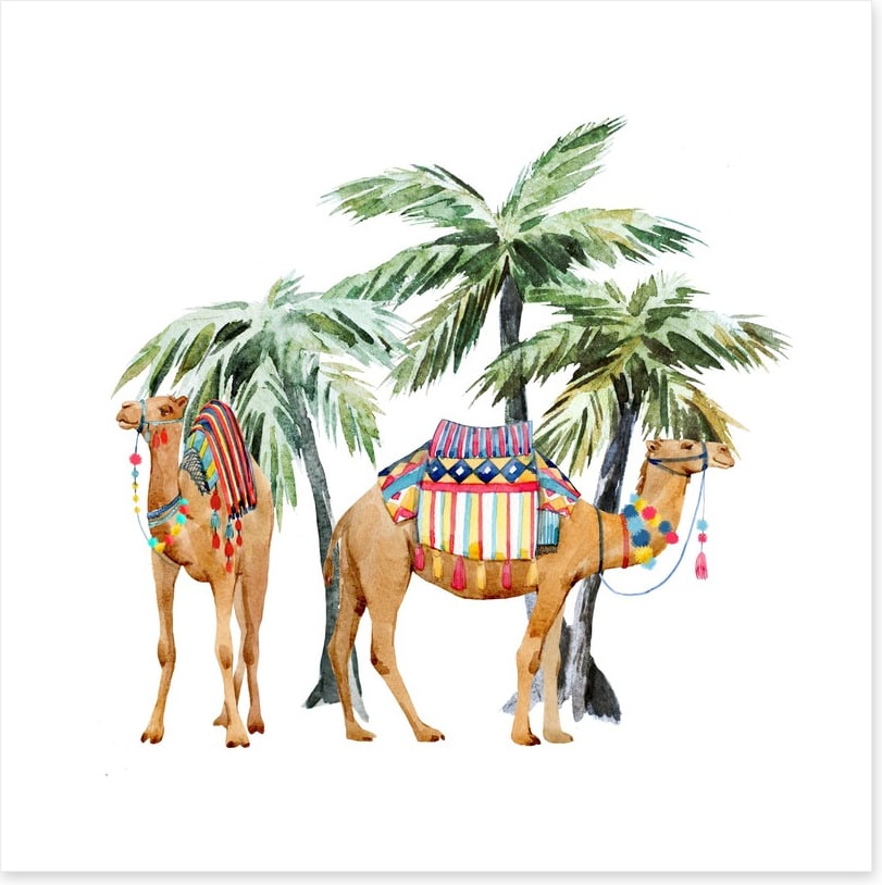 Date palm camels