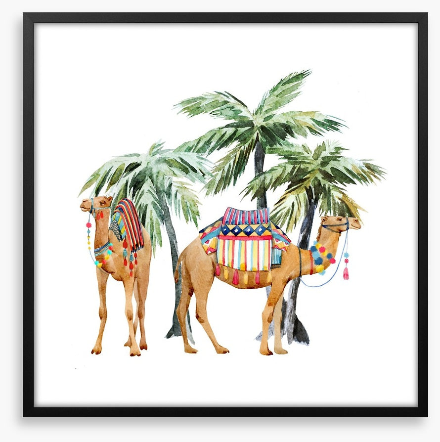 Date palm camels