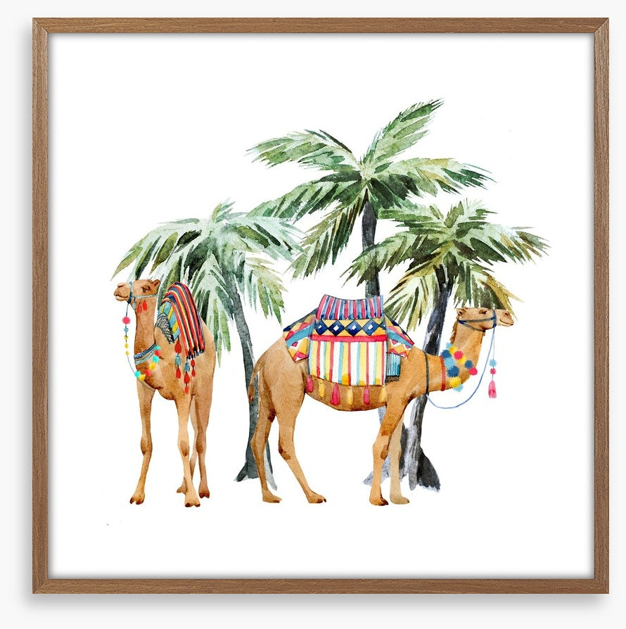 Date palm camels