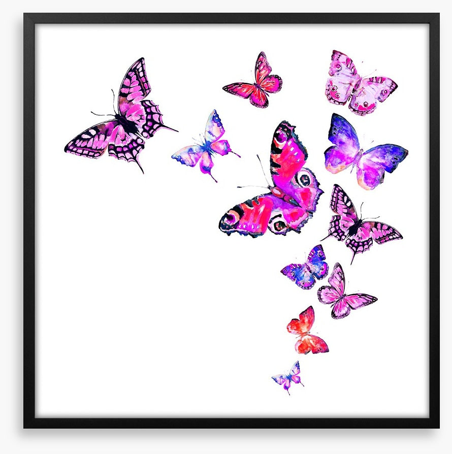 Pink monarchy