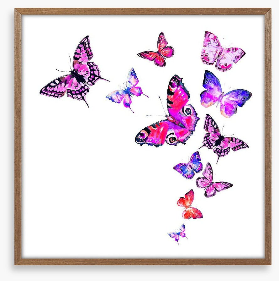 Pink monarchy