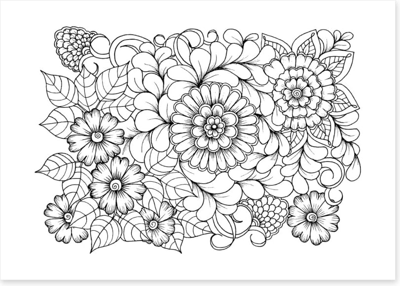 Colour me blooms