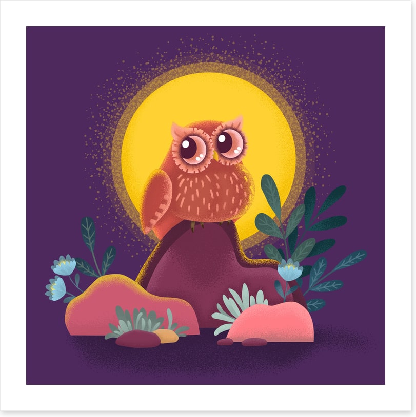 Owls