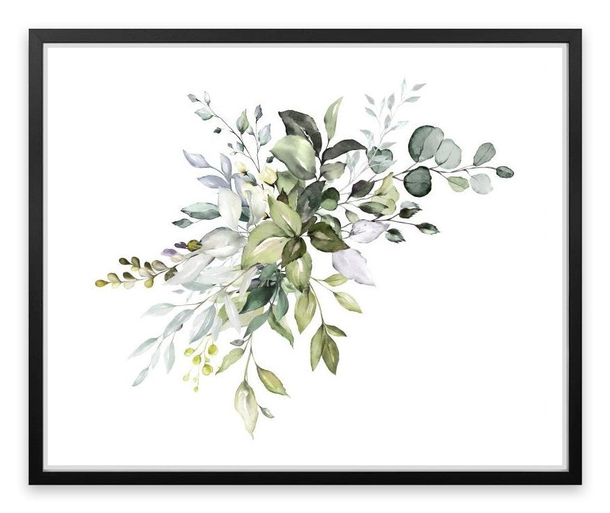 Soft Eucalypt