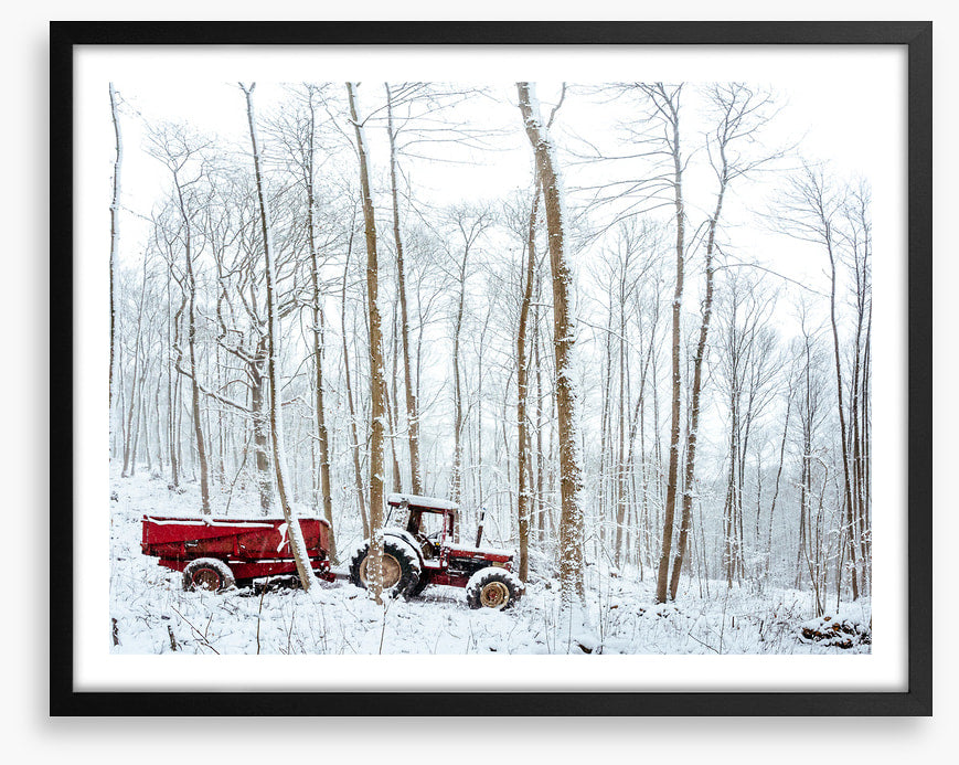 Winter