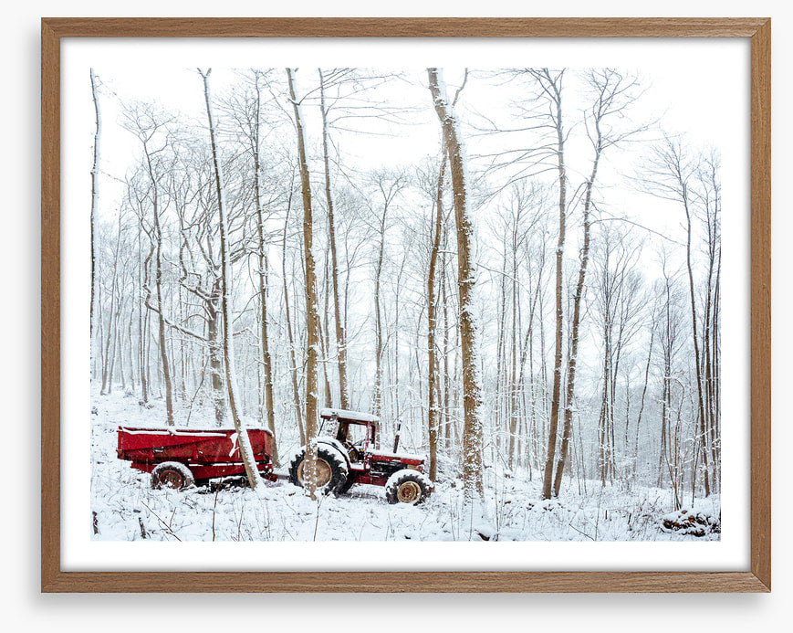 Winter