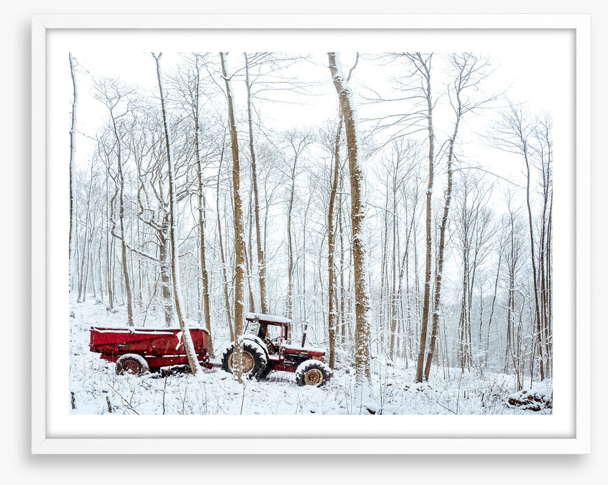 Winter
