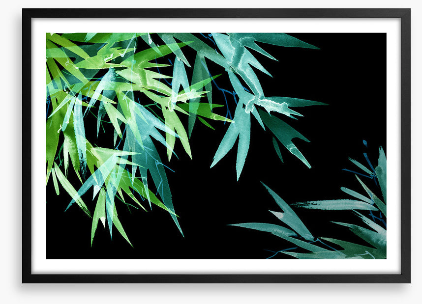 Leaves of the night