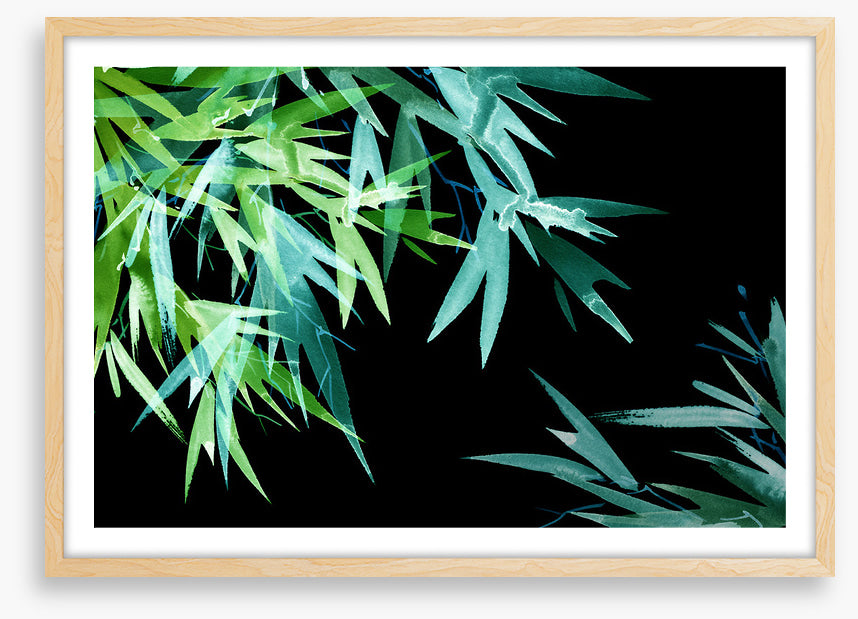 Leaves of the night