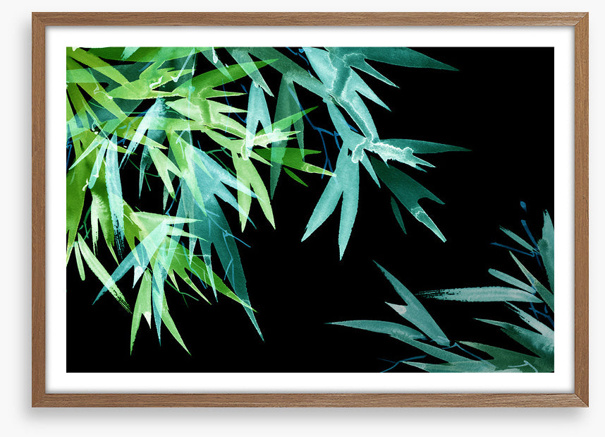 Leaves of the night