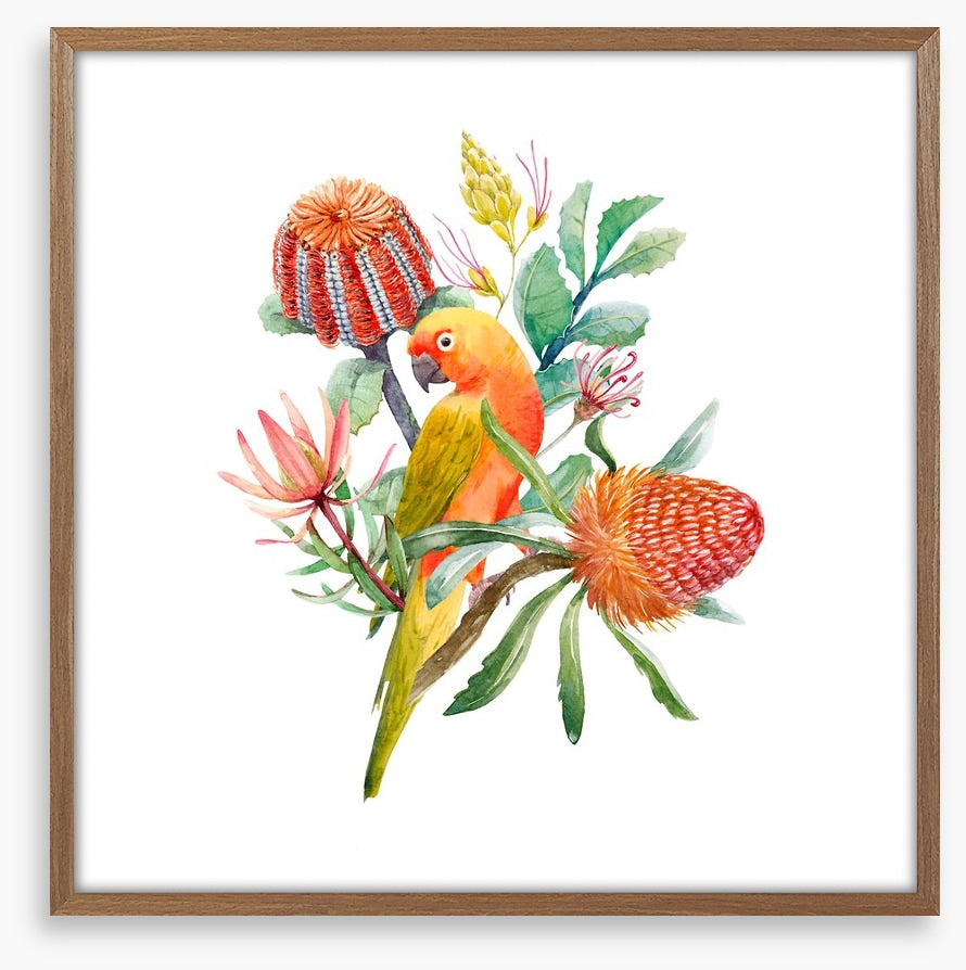 King parrot perch