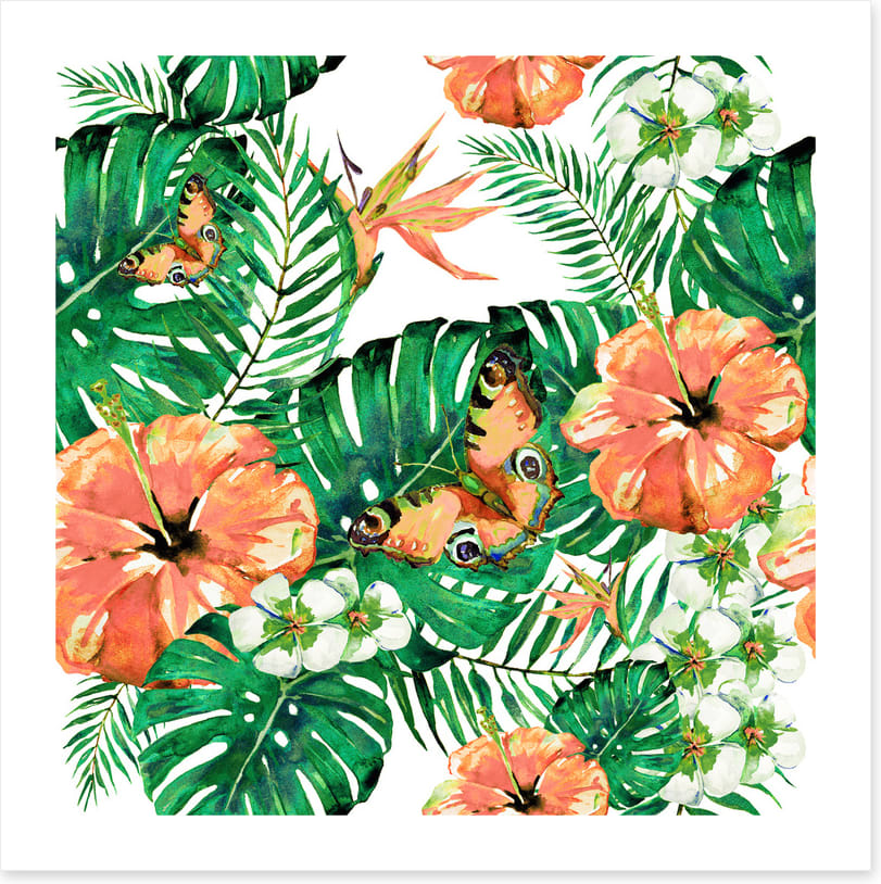 Aloha butterflies
