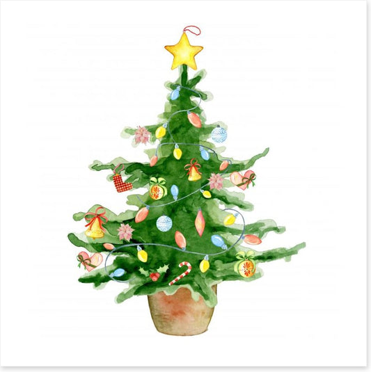 Dressed for Christmas