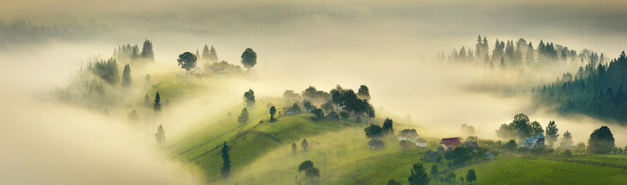 A misty morning