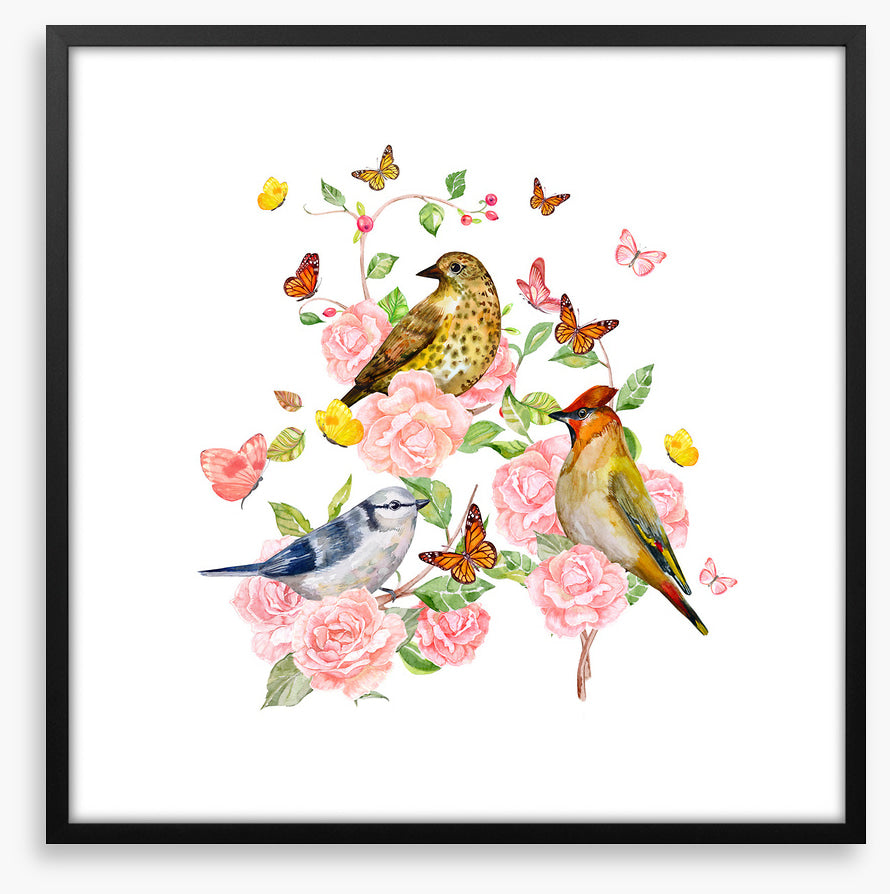 Songbird trio