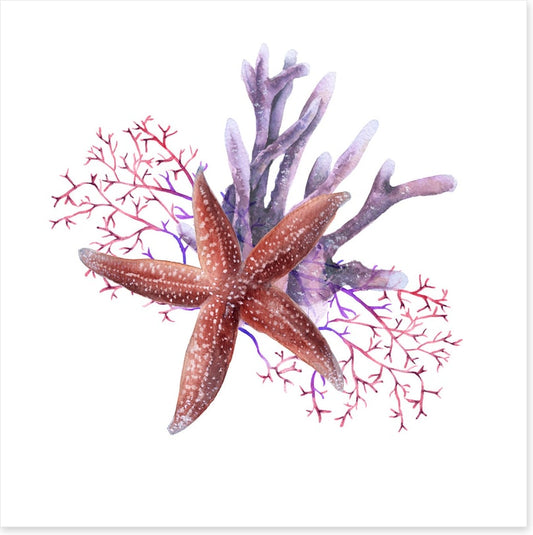 Starfish in the seaweed