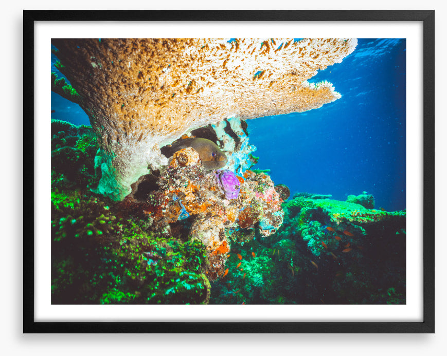 Underwater