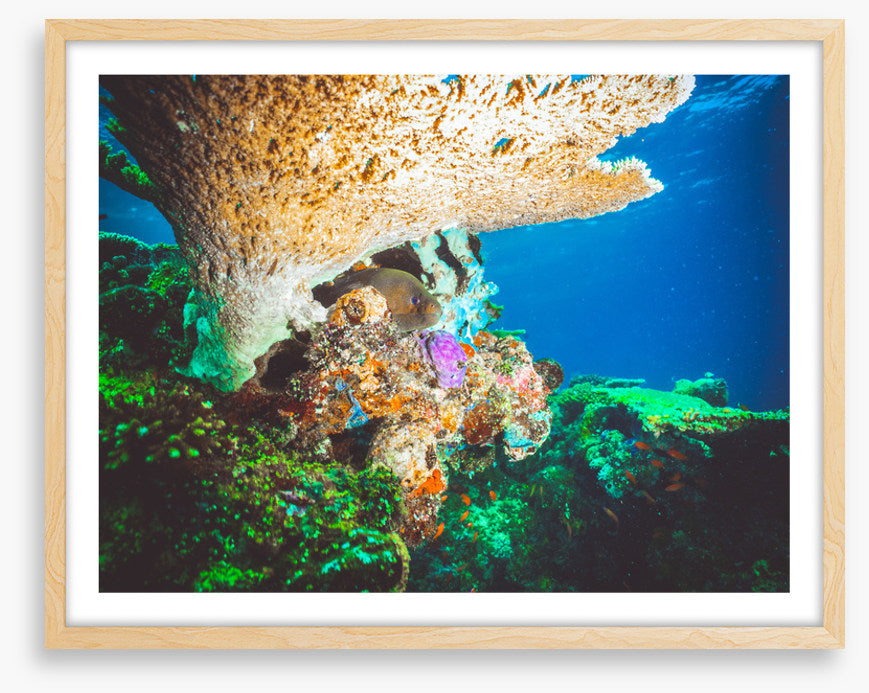 Underwater