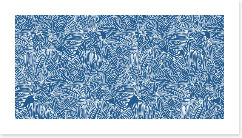 Calm in the coral