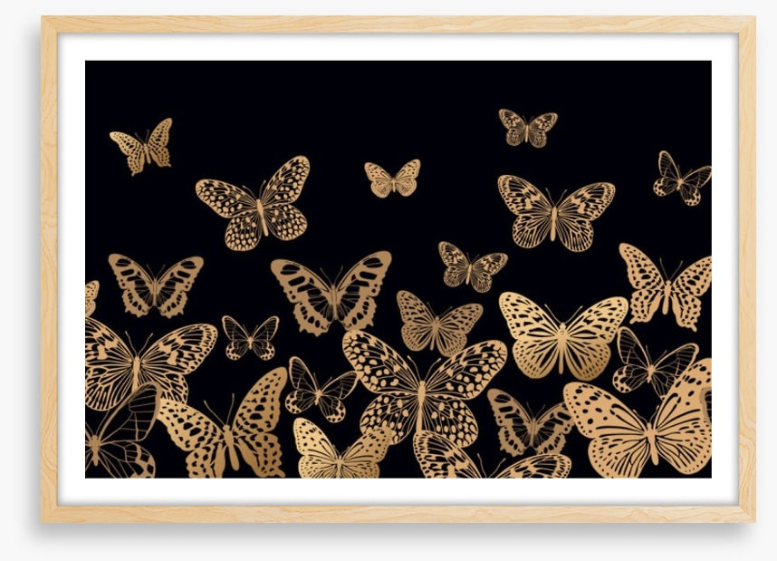 Fly by night