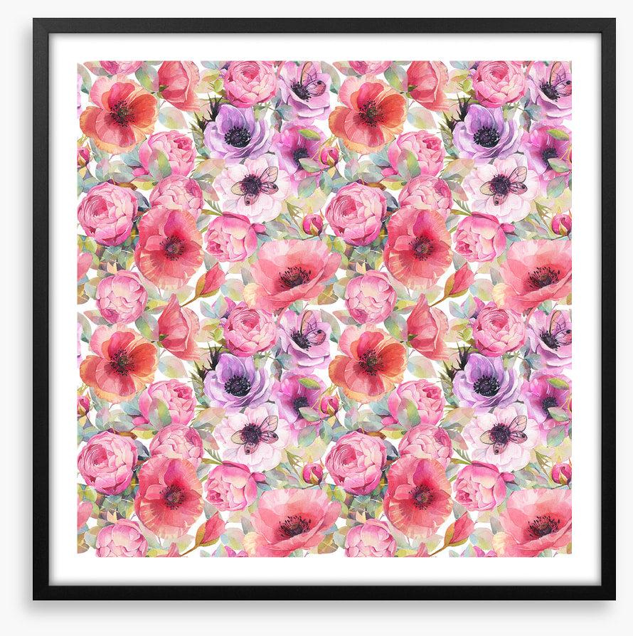 Rosy poppies