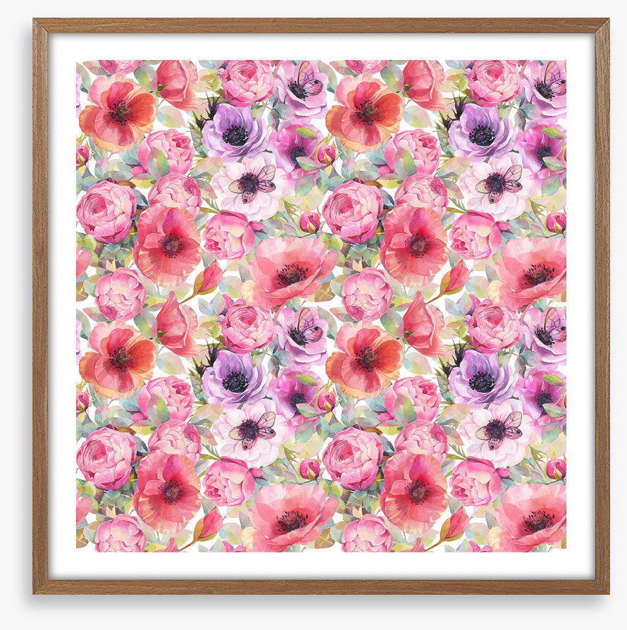 Rosy poppies