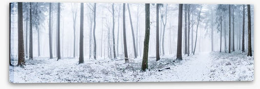 Snowy forest panorama