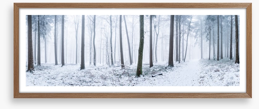 Snowy forest panorama