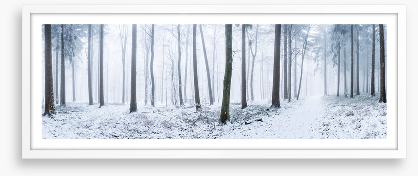 Snowy forest panorama