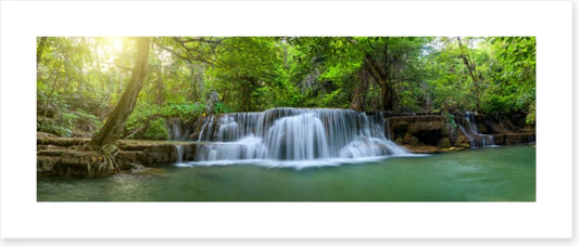 Jungle falls panorama