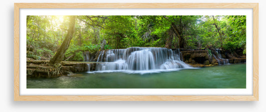 Jungle falls panorama