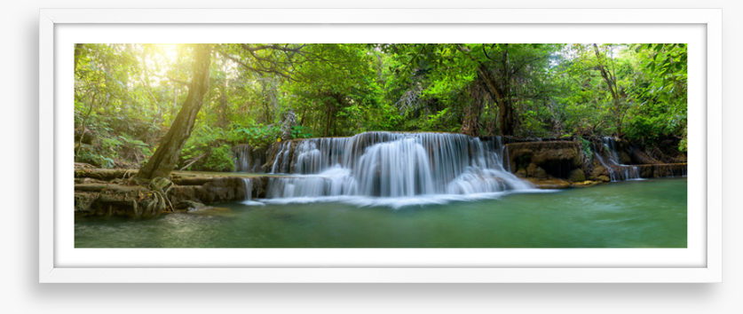 Jungle falls panorama