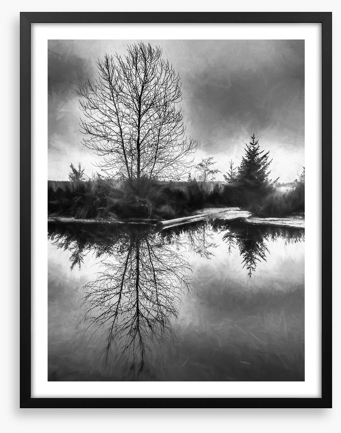 A monochrome morning