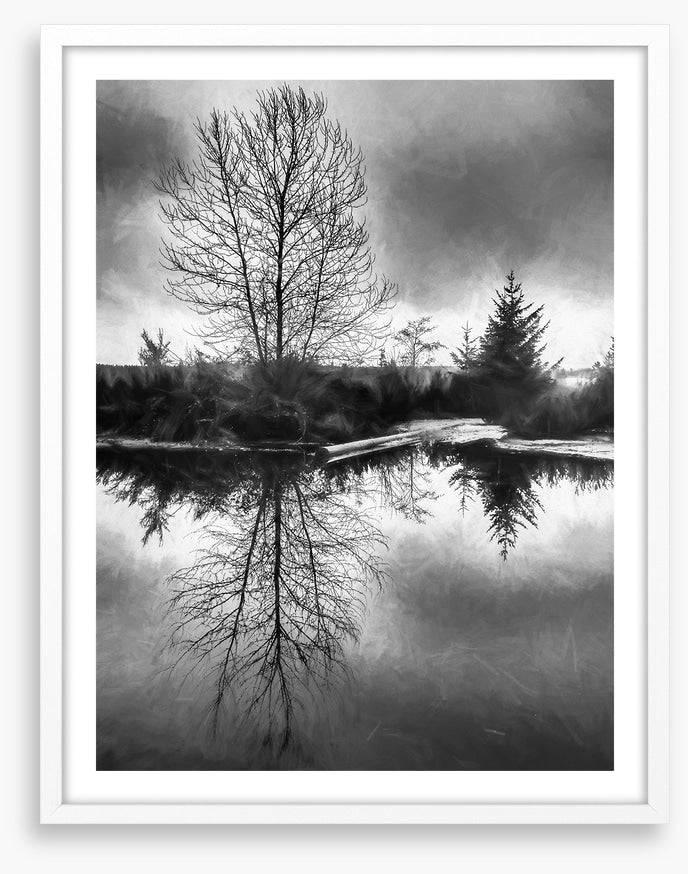 A monochrome morning