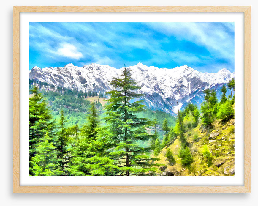 Mountainside pine