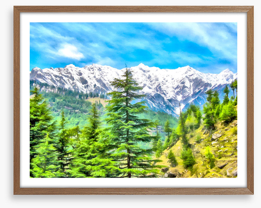 Mountainside pine